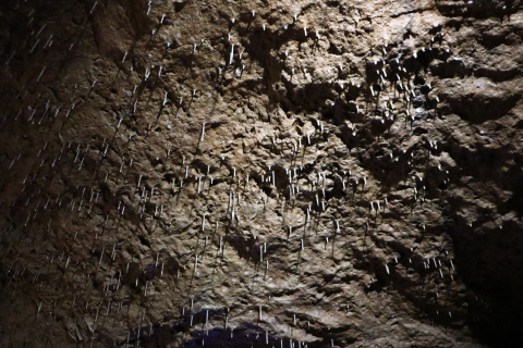 Teufelshöhle Pottenstein
